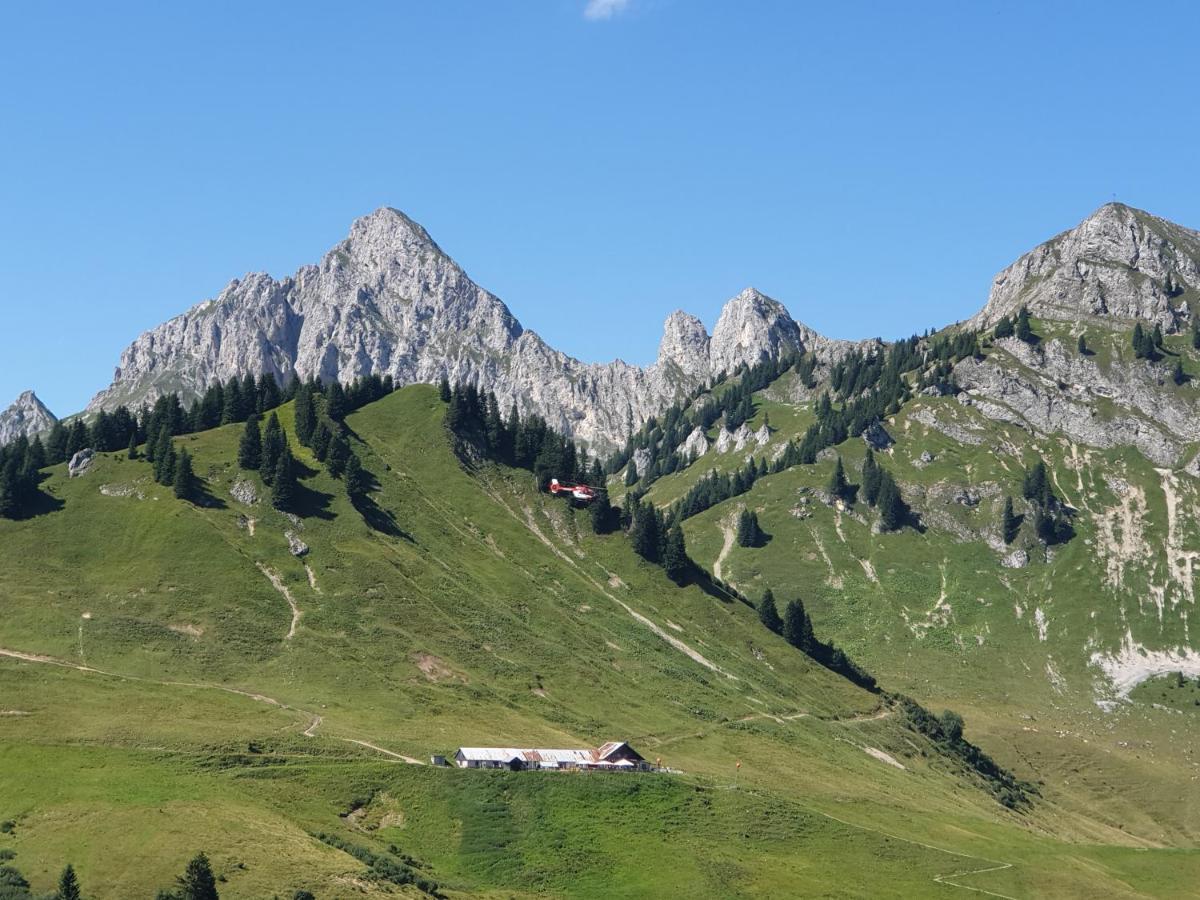 Am Muehlbach - Ferienwohnungen Luttinger Bichlbach Exterior foto