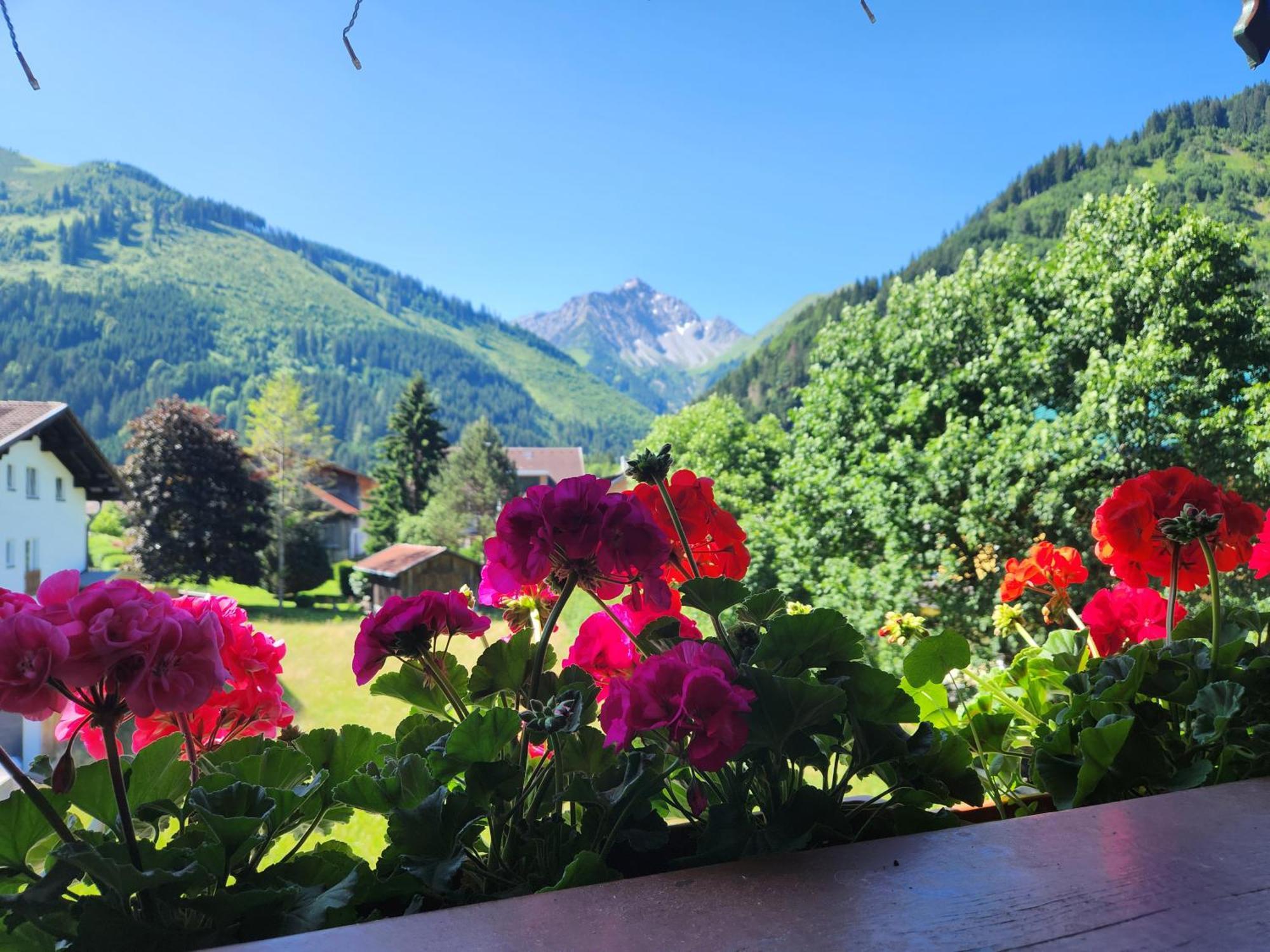 Am Muehlbach - Ferienwohnungen Luttinger Bichlbach Exterior foto